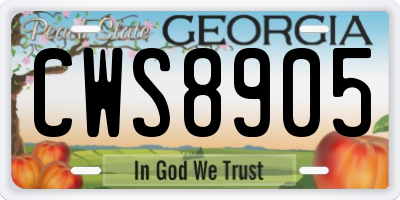 GA license plate CWS8905