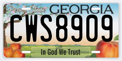 GA license plate CWS8909