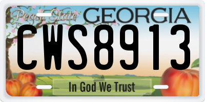 GA license plate CWS8913