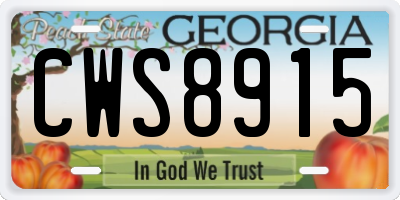 GA license plate CWS8915