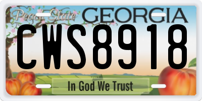 GA license plate CWS8918