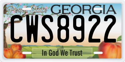 GA license plate CWS8922