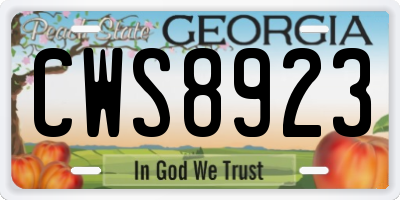 GA license plate CWS8923