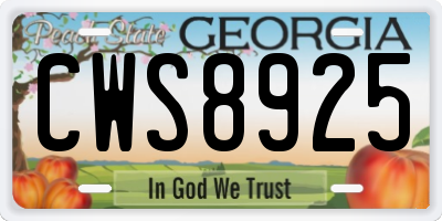 GA license plate CWS8925