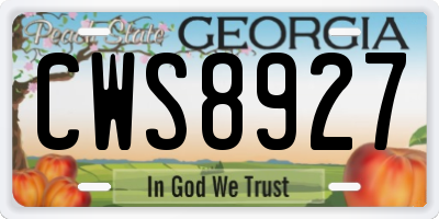 GA license plate CWS8927