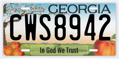 GA license plate CWS8942