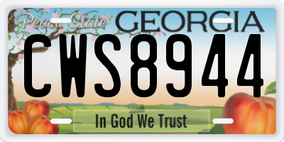 GA license plate CWS8944