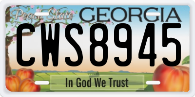 GA license plate CWS8945