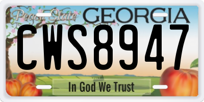 GA license plate CWS8947
