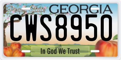 GA license plate CWS8950