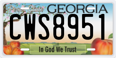 GA license plate CWS8951