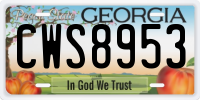 GA license plate CWS8953