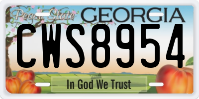 GA license plate CWS8954
