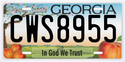 GA license plate CWS8955