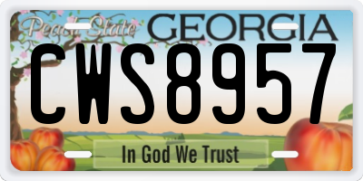 GA license plate CWS8957