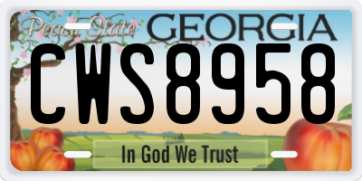GA license plate CWS8958