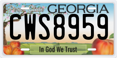 GA license plate CWS8959