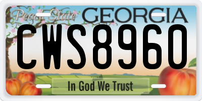 GA license plate CWS8960
