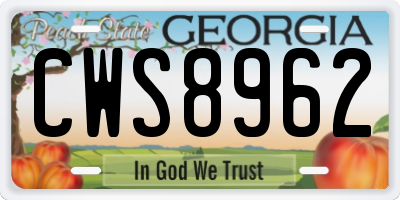 GA license plate CWS8962