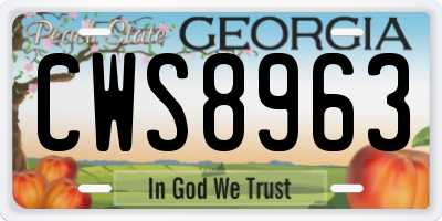 GA license plate CWS8963