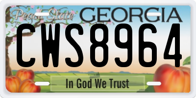 GA license plate CWS8964