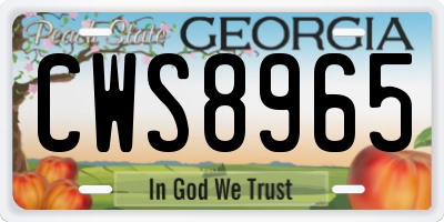 GA license plate CWS8965