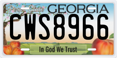 GA license plate CWS8966