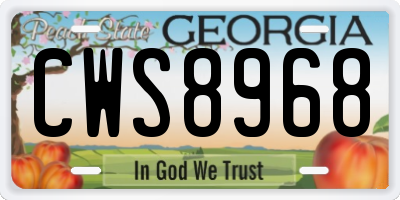 GA license plate CWS8968