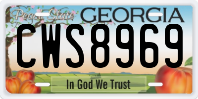 GA license plate CWS8969