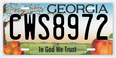 GA license plate CWS8972
