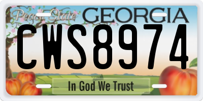 GA license plate CWS8974
