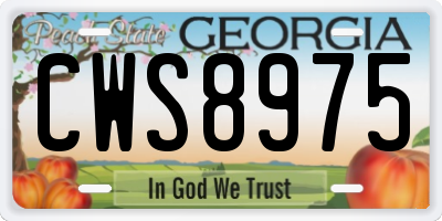 GA license plate CWS8975