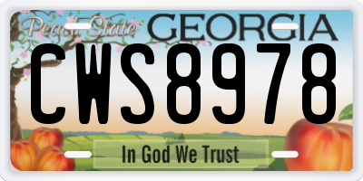 GA license plate CWS8978