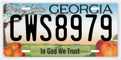 GA license plate CWS8979