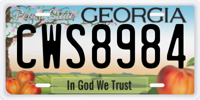 GA license plate CWS8984
