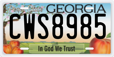 GA license plate CWS8985