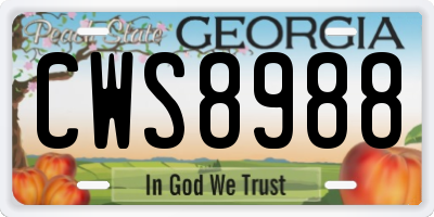 GA license plate CWS8988