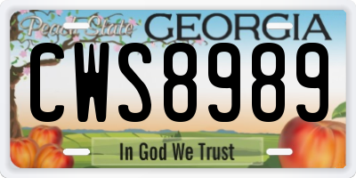 GA license plate CWS8989