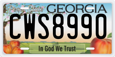GA license plate CWS8990