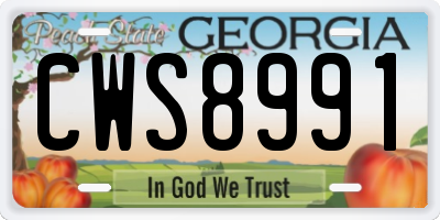 GA license plate CWS8991