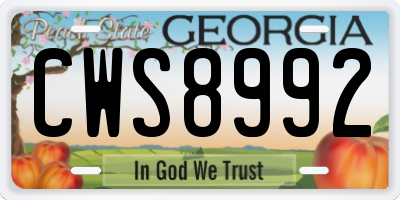 GA license plate CWS8992