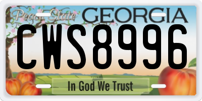 GA license plate CWS8996