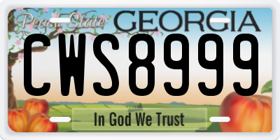 GA license plate CWS8999