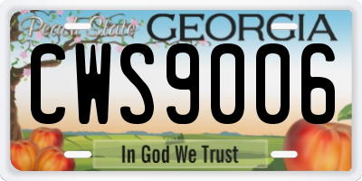 GA license plate CWS9006