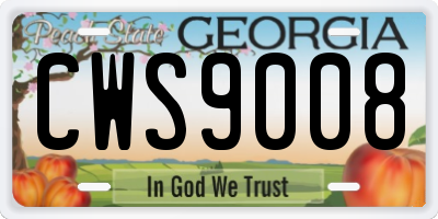 GA license plate CWS9008