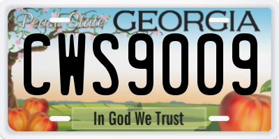 GA license plate CWS9009