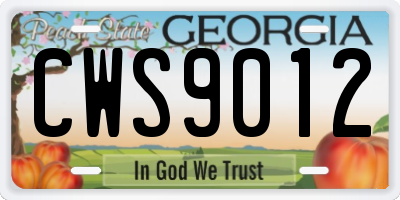 GA license plate CWS9012