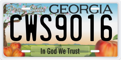 GA license plate CWS9016