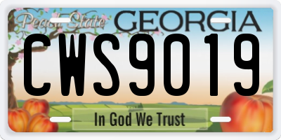 GA license plate CWS9019