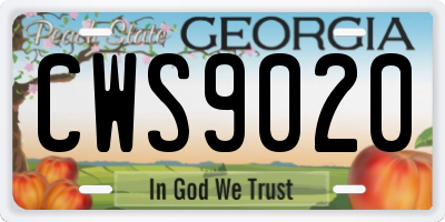 GA license plate CWS9020